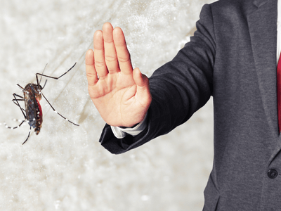 About HearthSafe Pest - residential pest control experts in Gillette